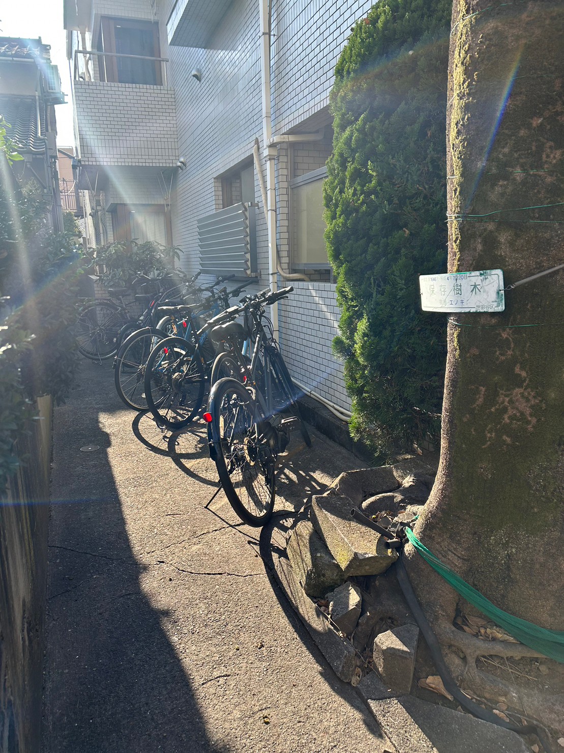 コーポグレイス その他共用部